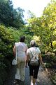 120 - Butchard Gardens  - IMG_1616
